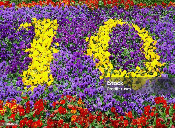 Flor Número 10 Foto de stock y más banco de imágenes de Número 10 - Número 10, Colorido, Cero