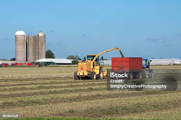 Hay Para Silagem - Fotografias de stock e mais imagens de Agricultura - Agricultura, Azul, Campo agrícola