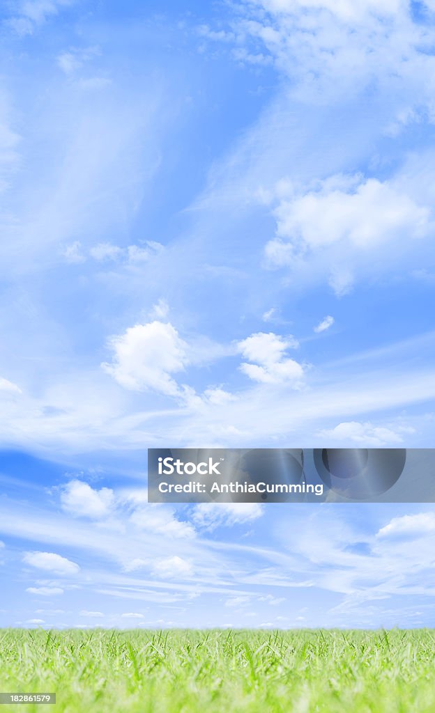 芝生の上の青い空、白い雲の夏 - Horizonのロイヤリティフリーストックフォト