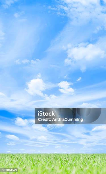 Relva Verde Sob Um Céu Azul De Verão Com Nuvens Brancas - Fotografias de stock e mais imagens de Ao Ar Livre