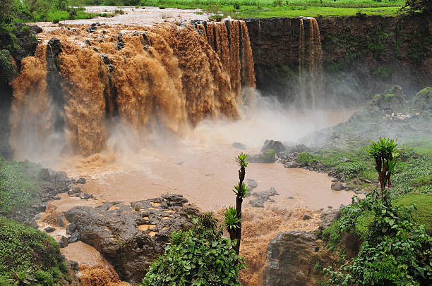 istock Blue Nile Falls near Bahir Dar, Ethiopia 182861630