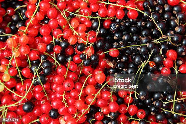 Foto de Redcurrants De Frutas Recémcolhidas e mais fotos de stock de Agricultura - Agricultura, Baga - Fruta, Comida