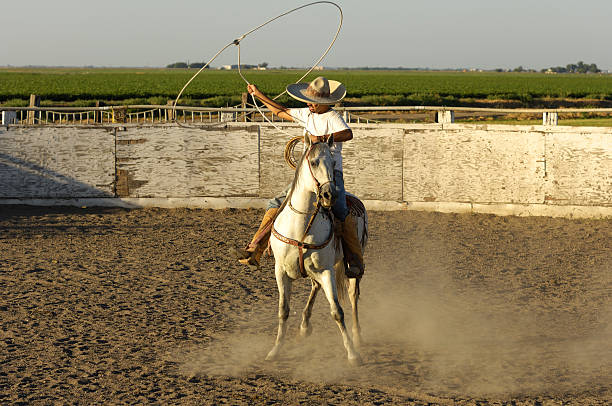 Porto Alegre, Rio Grande do Sul, Brazil - Mar 29th, 2014 - View of a gaucho lassoing cows