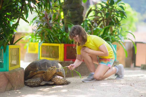 istock Kids feed animals at petting zoo. 1828618961