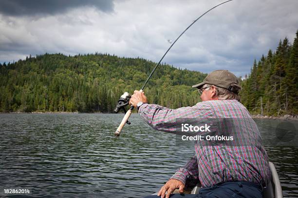 Photo libre de droit de Pêcheur Senior Sur Le Lac En Été banque d'images et plus d'images libres de droit de Activité - Activité, Activité de loisirs, Adulte