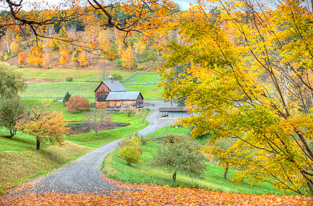 istock Autumn in Vermont 182862035