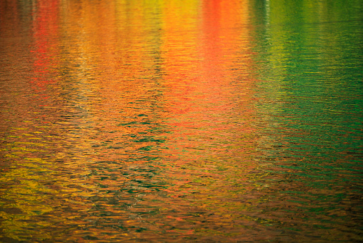 abstract wave of an autumn lake reflection
