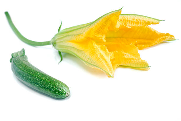 cukinia (zuccini) z kwiatów - zucchini zuchinni flower squash zdjęcia i obrazy z banku zdjęć