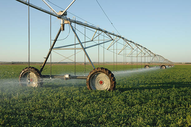 istock Farm Irrigation Equipment 182862763