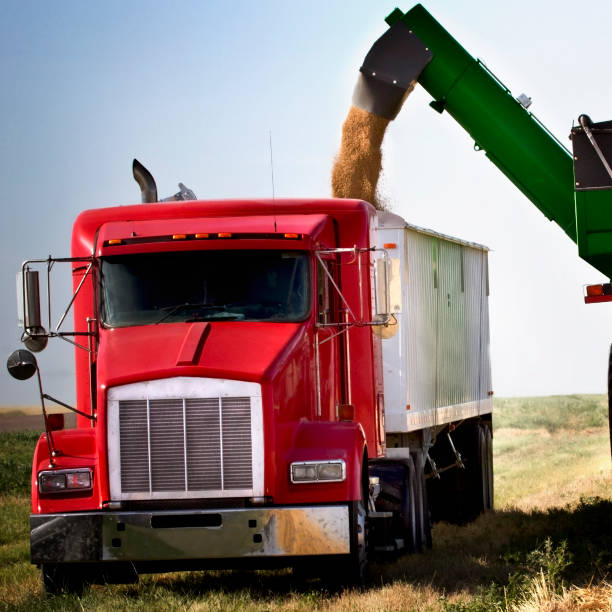 Close-up of a truck with heavy equipment transferring wheat stock photo