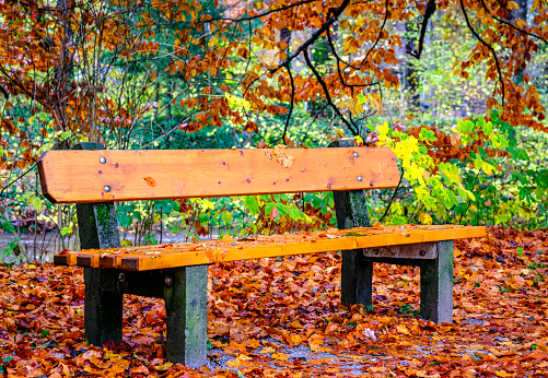 A woman patiently waiting for someone on a park bench in a park on a beautiful fall day.