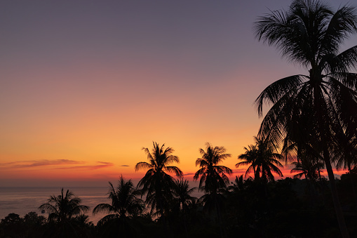 Tropical landscape with palm trees silhouettes against colourful saturated pink and orange romantic clear sky during sunset on Koh Tao island. Copy space