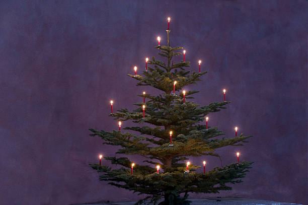 クリスマスツリーの装飾とレッドのキャンドル - feierlich ストックフォトと画像