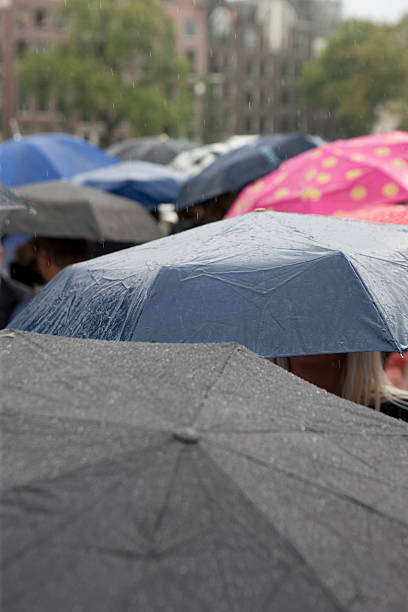 istock umbrella's in the rain 182863560
