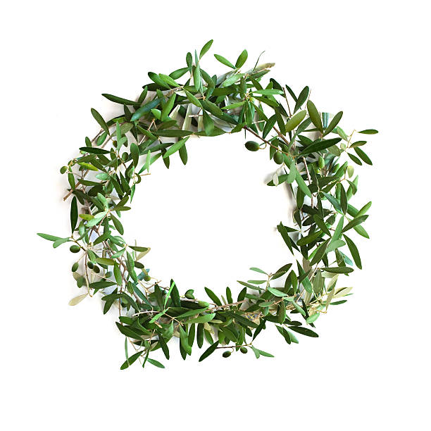 Olive tree branch wreath "Wreath made from olive tree branches, isolated on white." coronation photos stock pictures, royalty-free photos & images