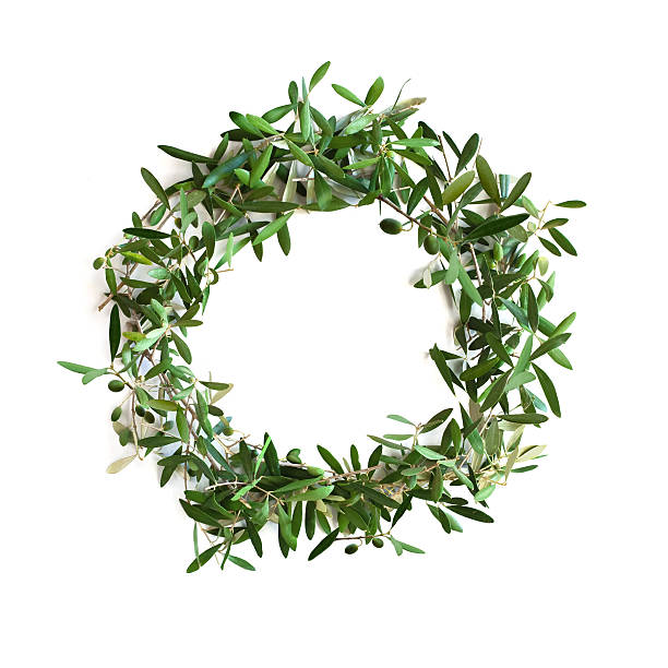 Olive tree branch wreath "Wreath made from olive tree branches, isolated on white." olive tree cut out stock pictures, royalty-free photos & images