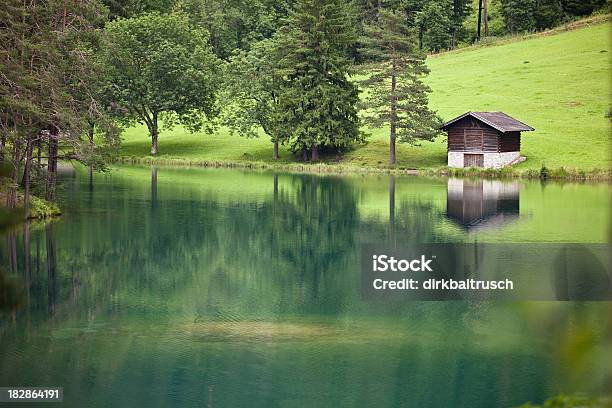 Photo libre de droit de Fernsteinseelac Dans Les Alpes Autrichiennes banque d'images et plus d'images libres de droit de Alpes européennes - Alpes européennes, Arbre, Autriche