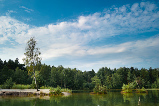 lake in the forests of lausitz, saxony