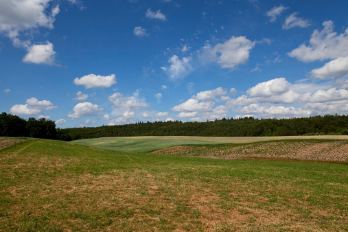 Rural landscape. Green meadows against blue sky. Horizontal with copy space.