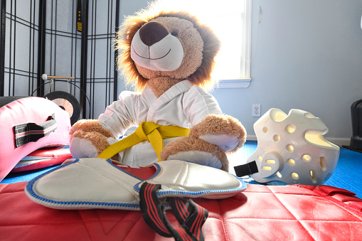 Stuffed lion toy wearing a martial arts uniform.