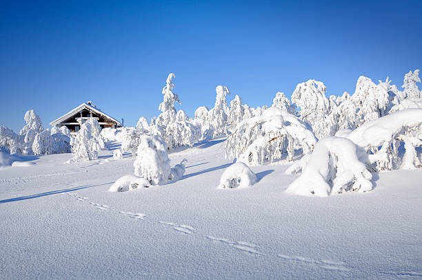 Winter, hut and tracks in snow covered landscape stock photo