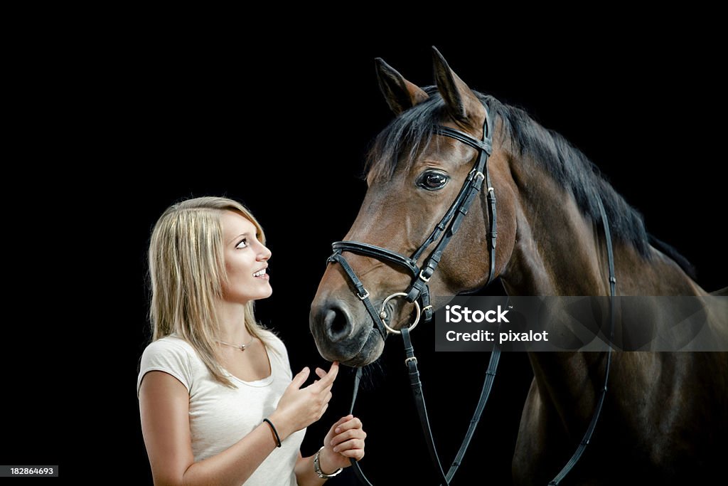 Girl and Horse Portrait of a pretty girl together with a beautiful bay horse  isolated on black background. Black Background Stock Photo
