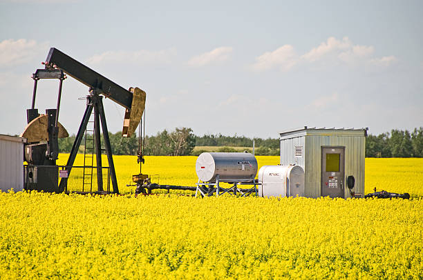 istock Canola  and Well Head Pump 182864801