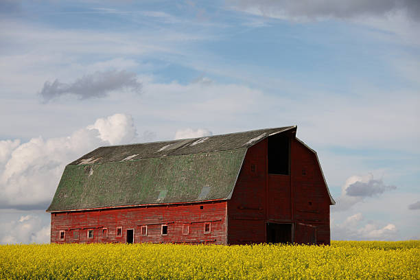 istock An old, red barn in a large grassy field under a cloudy sky. 182864932