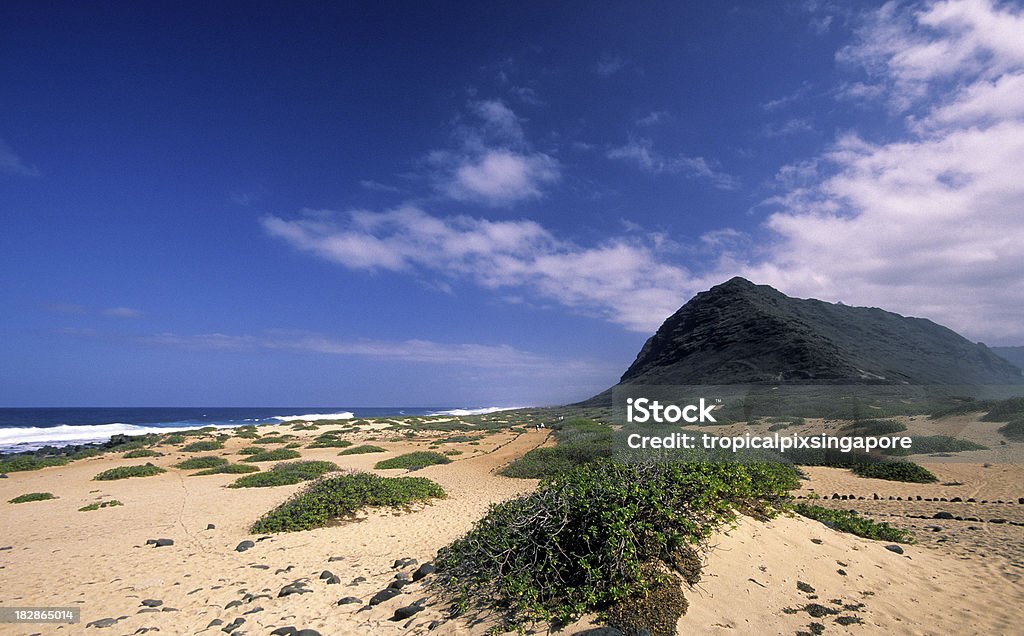 США Гавайи O'ahu, North Shore, Ka'ena точки. - Стоковые фото Без людей роялти-фри