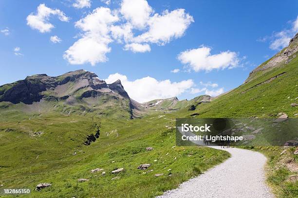 Giovanenold Escursione - Fotografie stock e altre immagini di Alpi Bernesi - Alpi Bernesi, Ambientazione esterna, Ampio