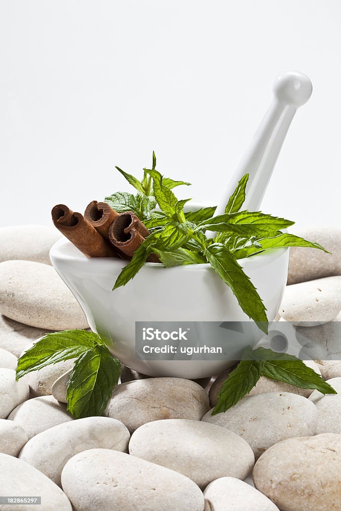 Mortar and Pestle Fresh mint in Mortar and Pestle. Alternative Medicine Stock Photo
