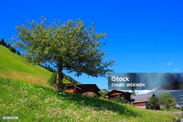 Gimmelwald Szwajcaria - zdjęcia stockowe i więcej obrazów Berneński Oberland - Berneński Oberland, Berno, Bez ludzi