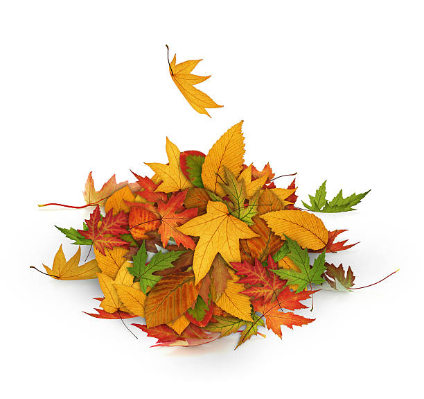 istock Heap Of Autumn Leaves 182865365