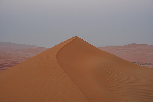 A perfectly shaped sand dune in the immense desert