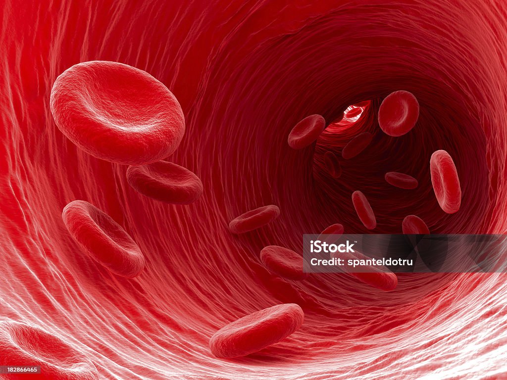 Blood Blood cells flow through a blood vessel. Blood Cell Stock Photo