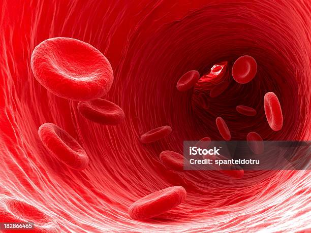 Do Sangue - Fotografias de stock e mais imagens de Vaso sanguíneo - Vaso sanguíneo, Célula sanguínea, Glóbulo Vermelho