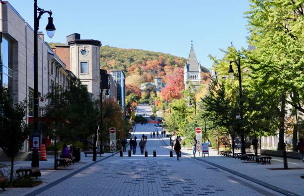 istock Street - Montreal 1828665853