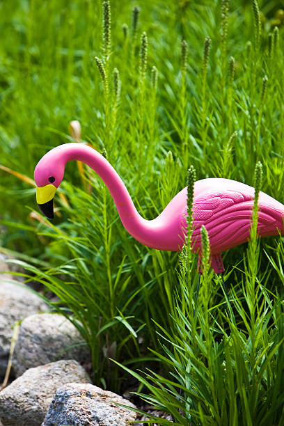 istock Light Pink Flamingo in the garden 182866632