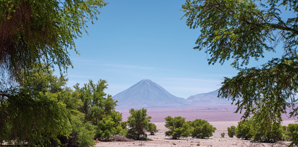 Idyllic Atacama Desert steppe, Volcanic landscape panorama – San Pedro de Atacama, Chile