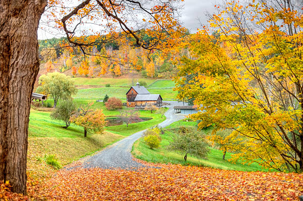 istock Autumn in Vermont 182866814