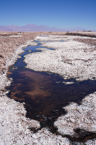 View of Laguna Tebinquiche in Atacama desert, Chile.View of Laguna Tebinquiche in Atacama desert, Chile