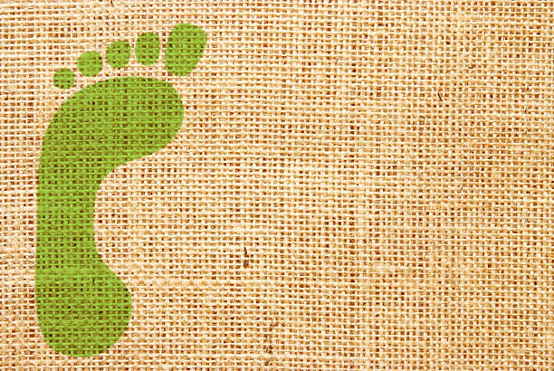 grüne fuß print - backgrounds burlap textured effect textile stock-grafiken, -clipart, -cartoons und -symbole