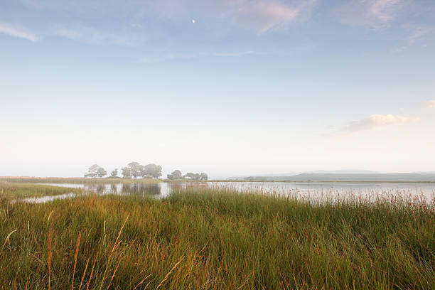 istock Lake Mert, Igneada, Kirklareli, Turkey 182867119