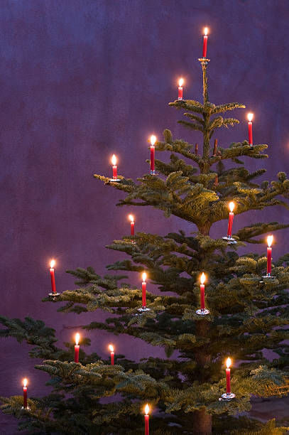 árbol de navidad decoración con velas rojo - feierlich fotografías e imágenes de stock