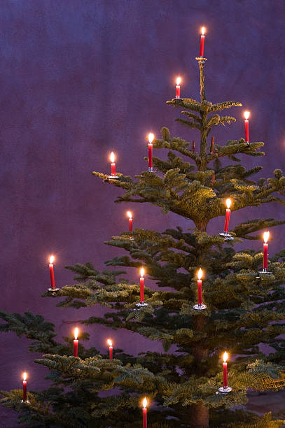 árvore de natal decorada com velas vermelhas - feierlich - fotografias e filmes do acervo