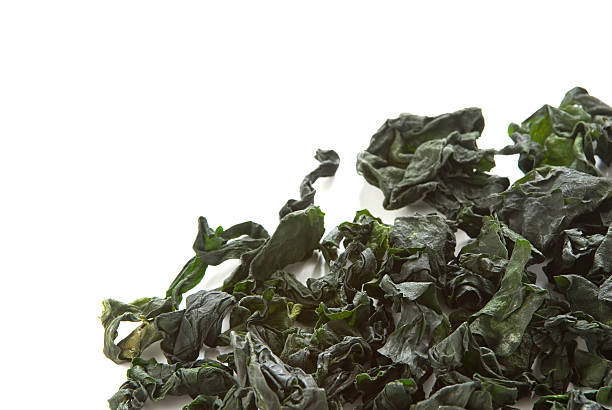 Dry Seawwed Isolated "Close up of dry seaweed, one of sushi ingredients" spirulina stock pictures, royalty-free photos & images