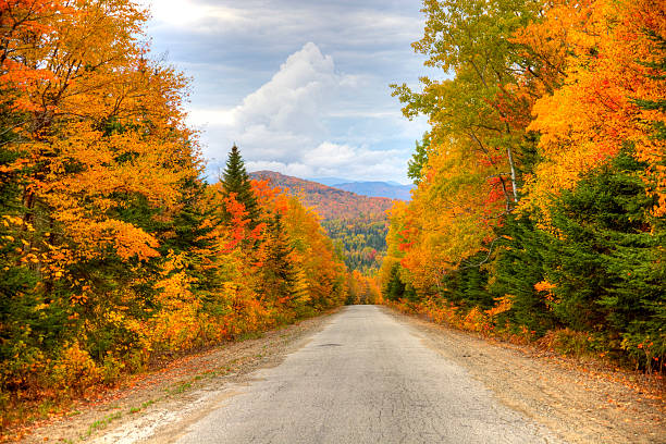 istock Autumn Road in Maine 182867388