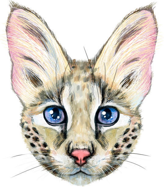 Lovely Cheetah Hand Drawn Portrait Graphic Art T-Shirt Lovely Cheetah Hand Drawn Portrait Graphic Art T-Shirt