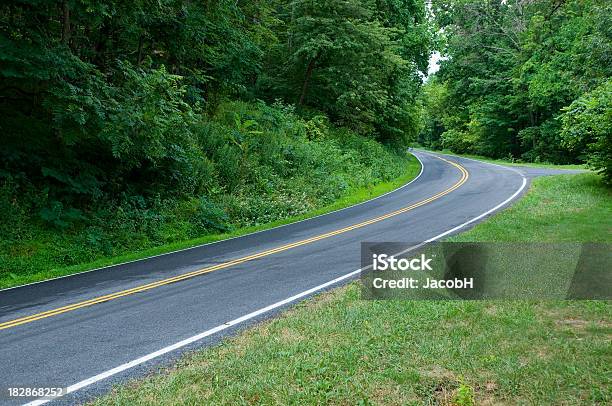 Foto de Curva Forest Road e mais fotos de stock de Appalachia - Appalachia, Blue Ridge Parkway, Carolina do Norte - Estado dos EUA