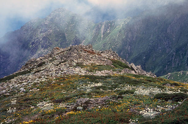 снежные горы национальный парк косцюшко австралия - kosciuszko national park стоковые фото и изображения